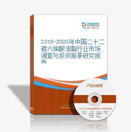 2016-2020年中国二十二碳六烯酸油脂市场前景及融资战略咨询